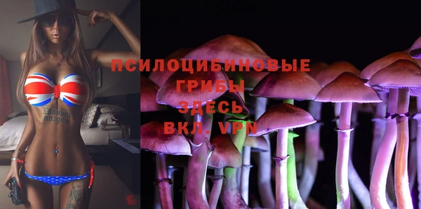 эйфоретик Бородино
