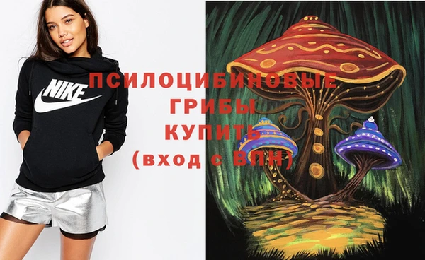 spice Верхний Тагил