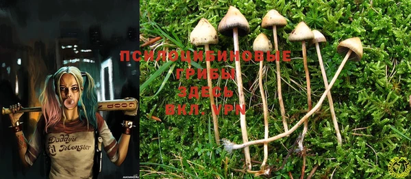 MESCALINE Верея